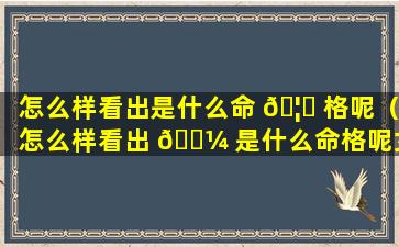 怎么样看出是什么命 🦟 格呢（怎么样看出 🐼 是什么命格呢女生）